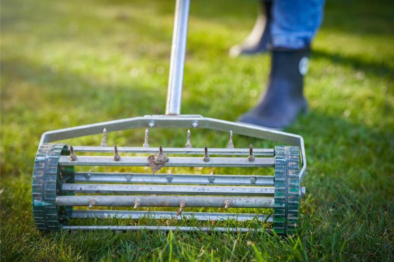 The Benefits Of Aerating Your Lawn | Wikilawn