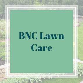 40++ League city lawn care information