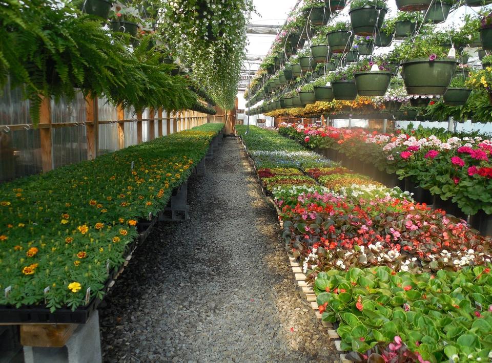 Atlantic Greenhouses Supplies