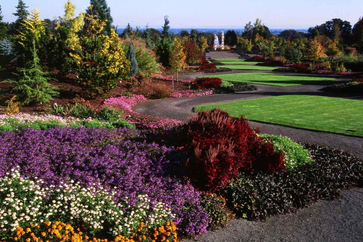 11 Best Native Plants For The Pacific Northwest 4488